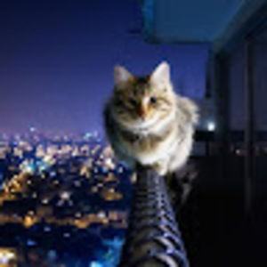 Meet your Posher, Ellie